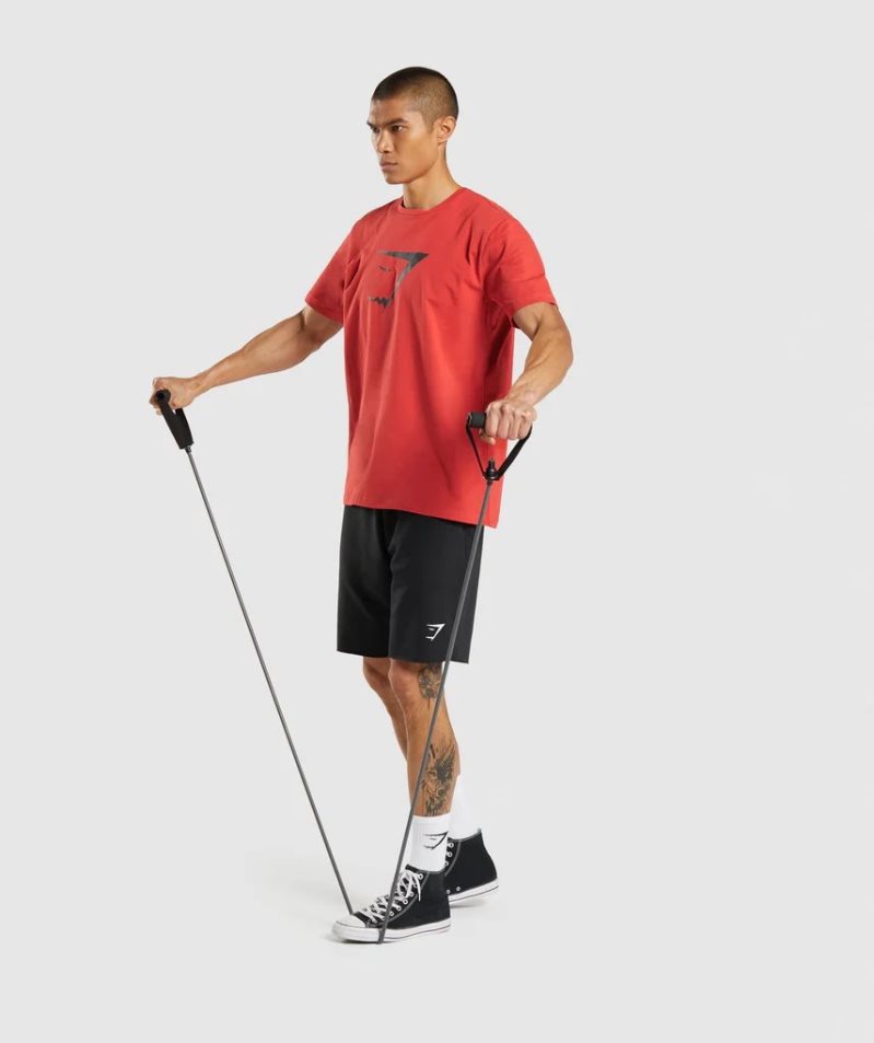 Gymshark Sharkhead Infill Férfi Póló Piros | HU-X-560