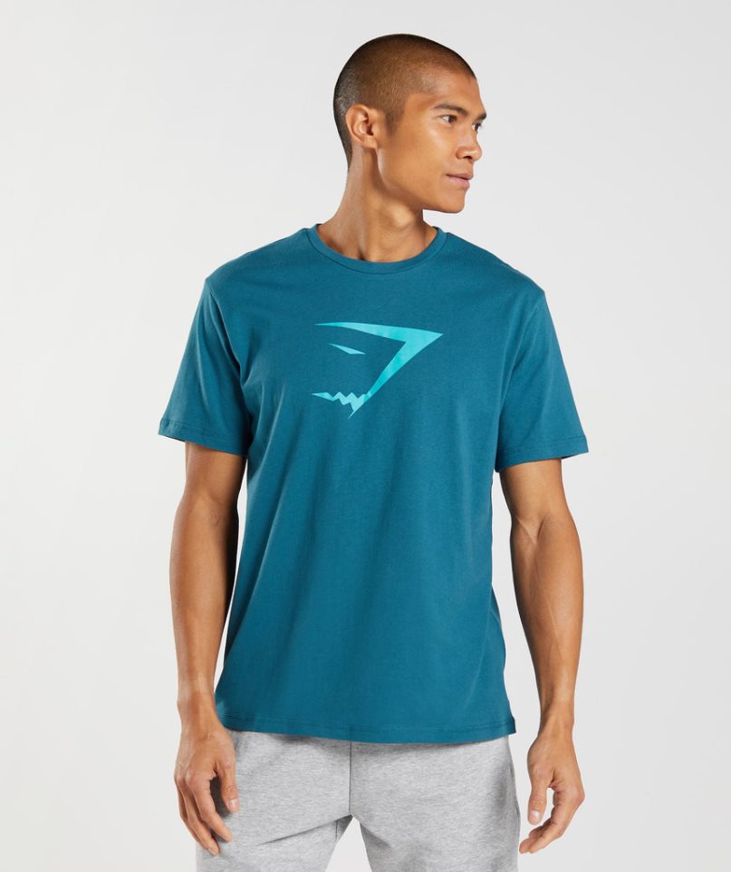 Gymshark Sharkhead Infill Férfi Póló Türkiz | HU-G-574