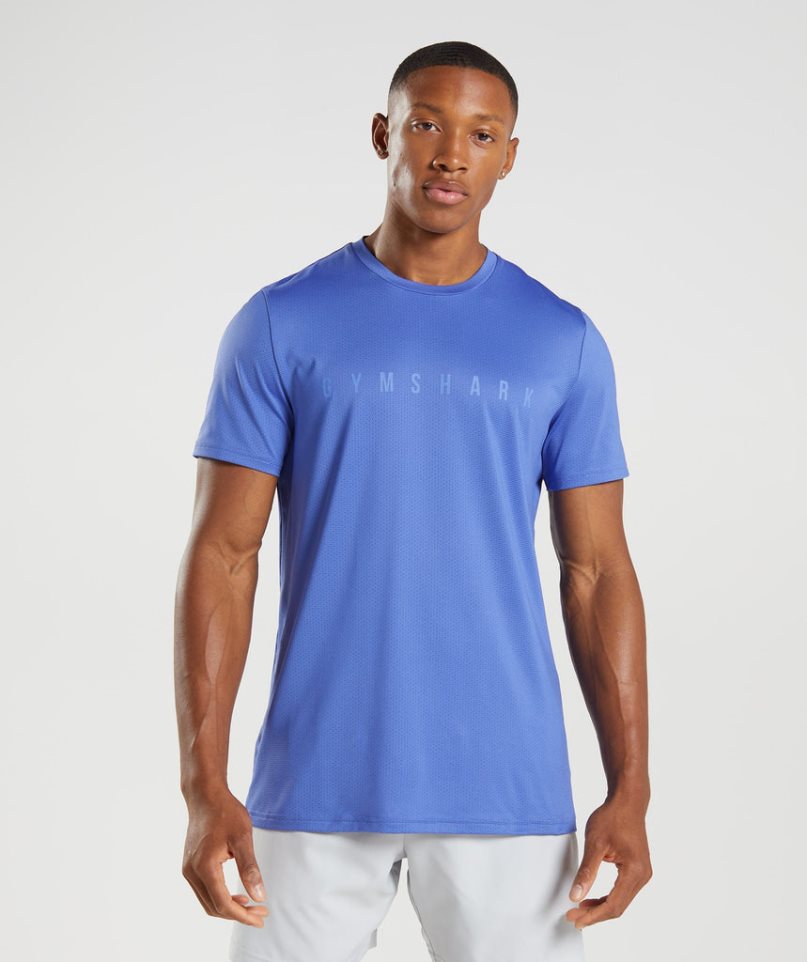 Gymshark Sport Stripe Férfi Póló Kék | HU-T-693