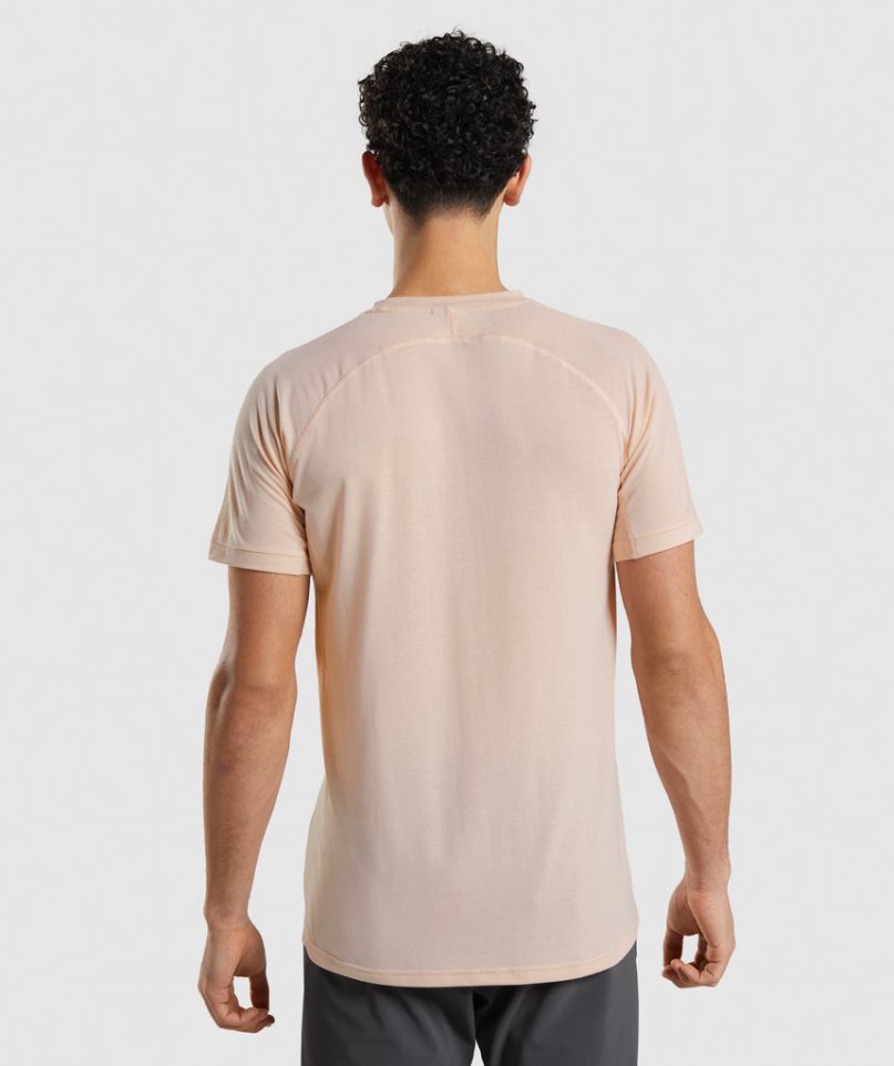 Gymshark Studio Amplify Férfi Póló Korall | HU-B-213