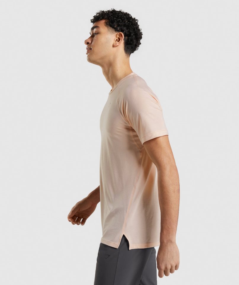 Gymshark Studio Amplify Férfi Póló Korall | HU-B-213