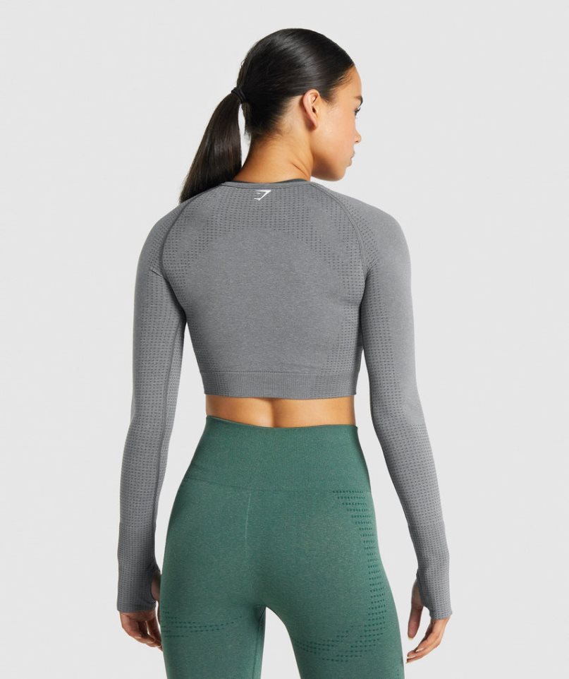 Gymshark Vital Seamless 2.0 Long Sleeve Női Vágott Felsők Szürke | HU-I-695