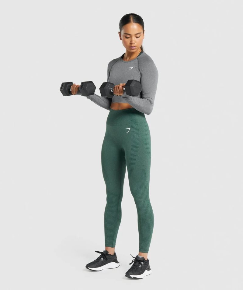 Gymshark Vital Seamless 2.0 Long Sleeve Női Vágott Felsők Szürke | HU-I-695