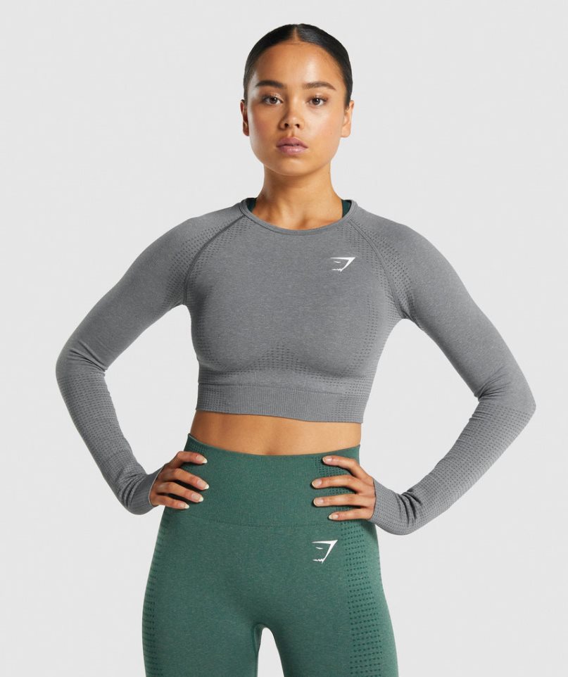 Gymshark Vital Seamless 2.0 Long Sleeve Női Vágott Felsők Szürke | HU-I-695