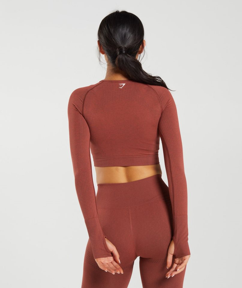 Gymshark Vital Seamless 2.0 Női Vágott Felsők Barna | HU-P-453