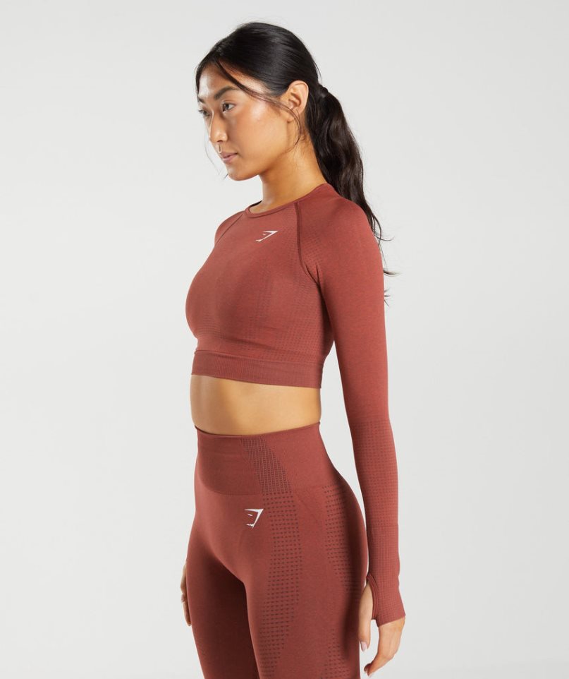 Gymshark Vital Seamless 2.0 Női Vágott Felsők Barna | HU-P-453