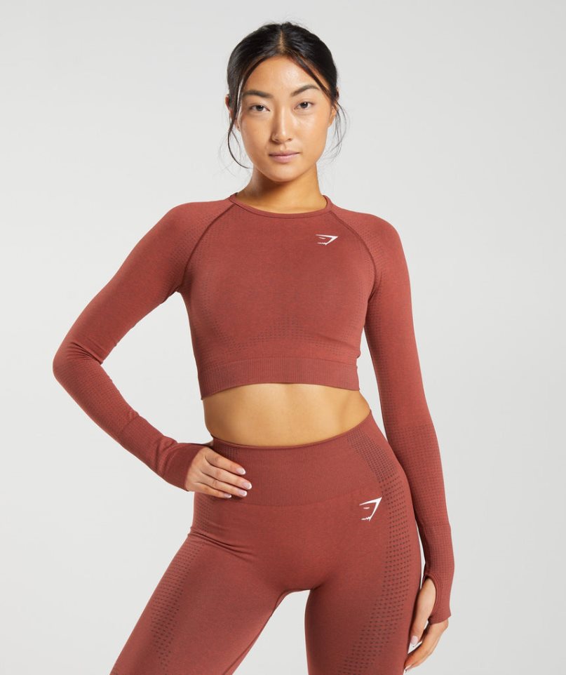 Gymshark Vital Seamless 2.0 Női Vágott Felsők Barna | HU-P-453