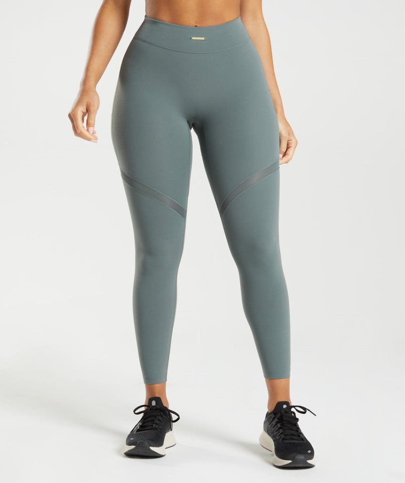 Gymshark Whitney Mesh Női Leggings Szürke | HU-V-621