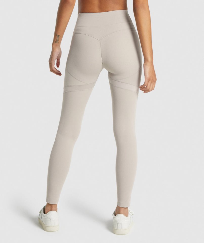 Gymshark Whitney Mesh Női Leggings Világos Szürke | HU-R-982
